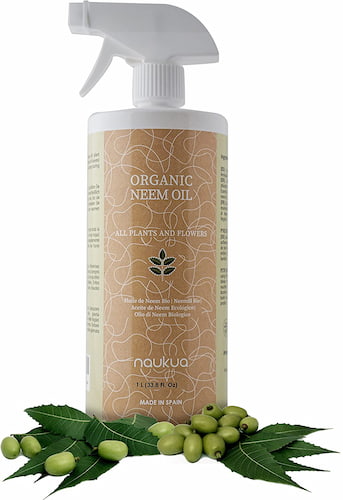 Bouteille en spray d'huile essentielle de Neem Biologique